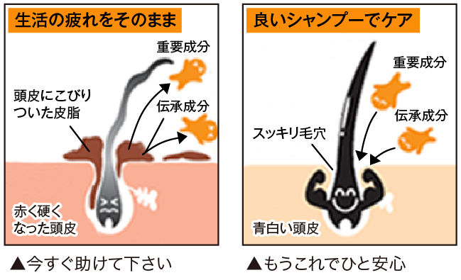 【新品】 インディアン 伝承 シャンプー ５本セット シャンプー インディアン インディアン伝承シャンプー | 商品詳細ページ